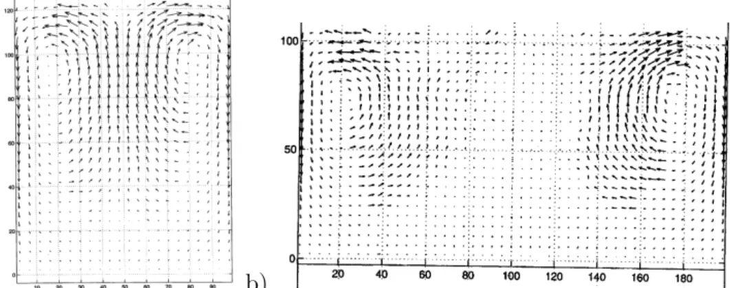 Figure 39 – Influence de la taille du récipient sur les cellules de convection. Simulation d’une vibration Γ = 4, a = 3 cm, d = 2 cm, a) L/d = 50 avec 700 grains et b) L/d = 100 avec 1200 grains [17].