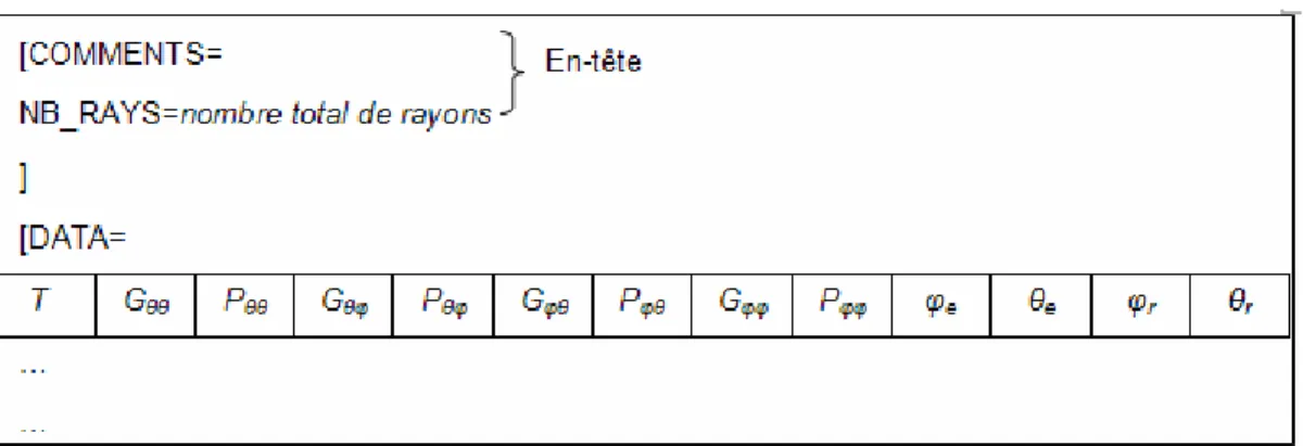 Figure 62 : Format du fichier "Modèle" 