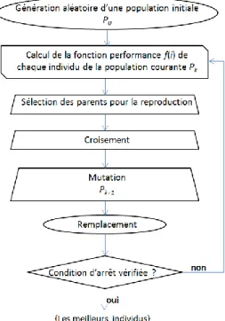 Figure II.5.  Principe de fonctionnement de base d’un algorithme génétique 