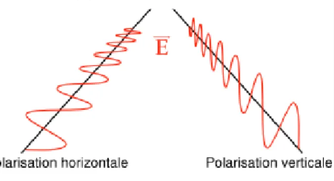 Figure 2.1: Polarisation linéaire d