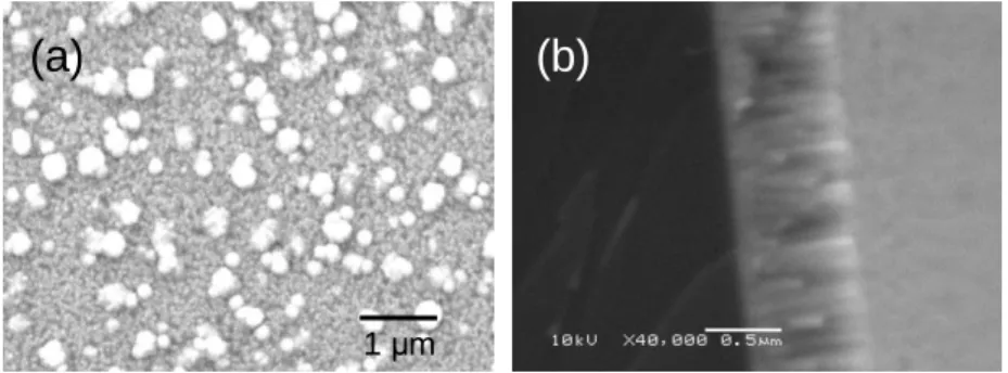Figure III-2. Morphologies de la surface (a) et de la tranche (b) observées par microscopie électronique à  balayage du film LTON-3 déposé sur MgO avec la cible LaTiO 2 N sous argon pur et T S  = 750°C