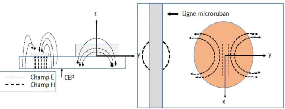 Figure 2.11. Couplage avec une ligne microruban pour exciter le mode HEM 11δ  d’un RDC 