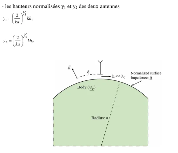 Figure 2.21 : Représentation schématique de la configuration du modèle proposé 