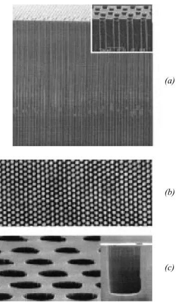 Figure I-3 – (a) : Structure photonique 2D réalisée par gravure photo-électrochimique du silicium