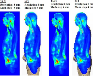 Figure I. 18 Influence du maillage sur le DAS 10g  simulé par la TLM et la FIT [28]. 