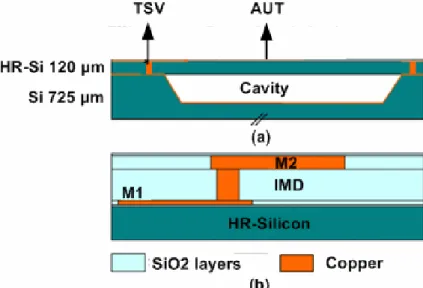 Figure 2. 17 (a) Cross section of the silicon interposer technology; (b) details of the tow metal  back-end on the top substrate