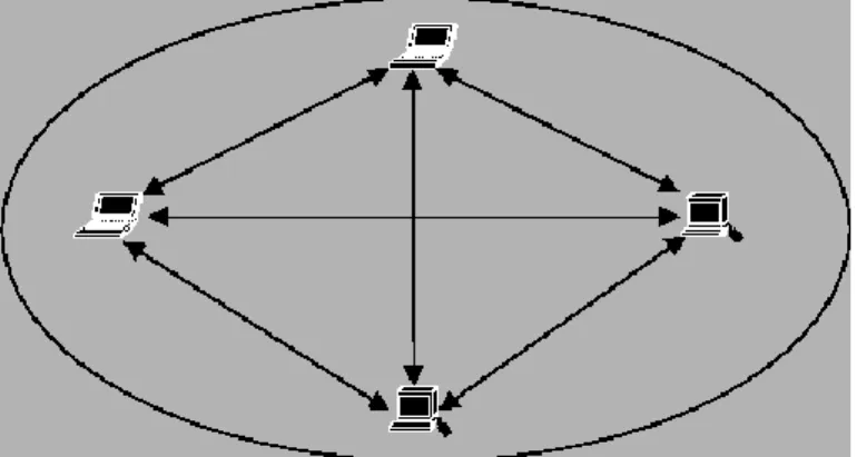 Figure 1.2. La topologie Ad-Hoc 