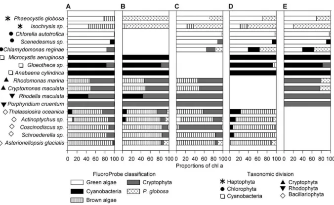 Fig. 1.2. FluoroProbe classification of 17 phytoplankton pure cultures using either the four original fingerprints  or three original fingerprints + Phaeocystis globosa’s fingerprint