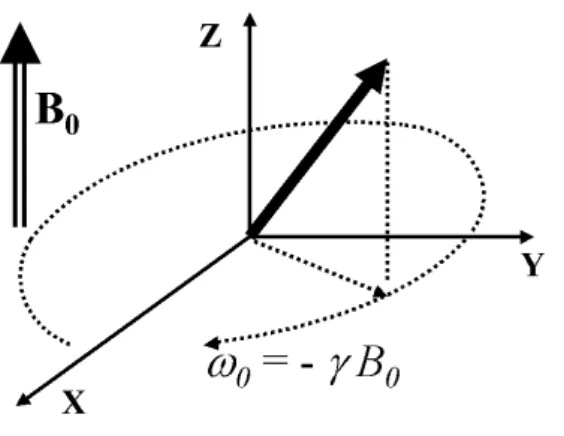 Fig. 1.1 – Mouvement de pr´ ecession d’un moment magn´ etique plac´ e dans une induction magn´ etique statique.