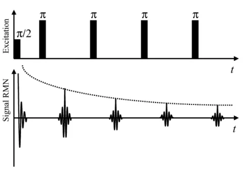 Fig. 1.7 – S´ equence d’excitation CPMG. Apr` es une impulsion π/2, une s´ erie d’impulsions π permet de former plusieurs ´ echos.