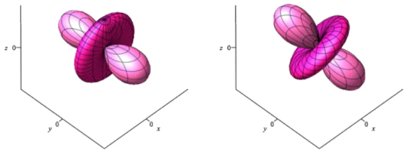 Figure 1.1. Two centrally symmetric surfaces only differing by a rotation.