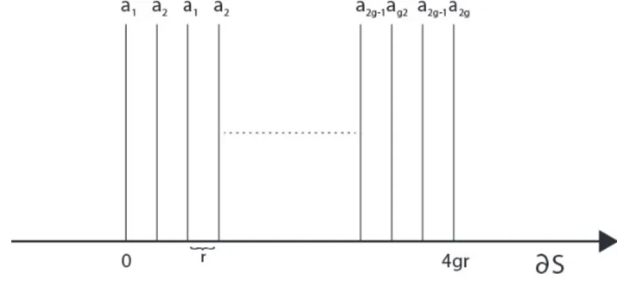 Figure 7.3: The curves a i near ∂S .