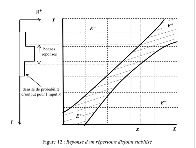 Figure 12 : Réponse d’un répertoire disjoint stabilisé 𝒀 