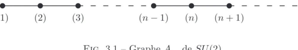 Fig. 3.1 – Graphe A ∞ de SU (2).