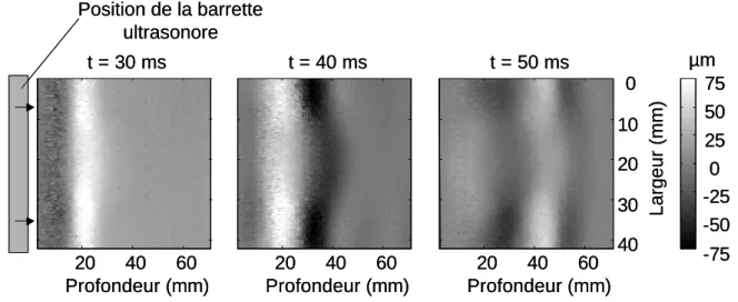 Fig. 15 : Champ des déplacements en niveau de gris induit par l’onde de cisaillement à différents instants