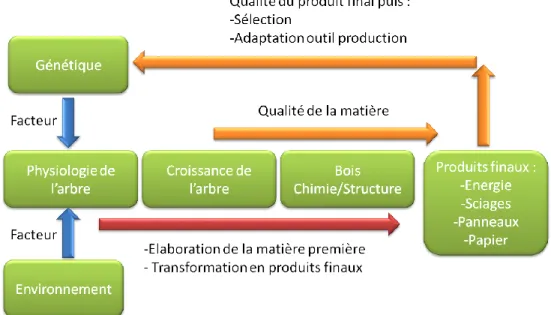 Figure  7 :  Schéma  d’optimisation  des  ressources  plantées  par  sélection  précoce  en  fonction  des  qualités  attendues des produits finis