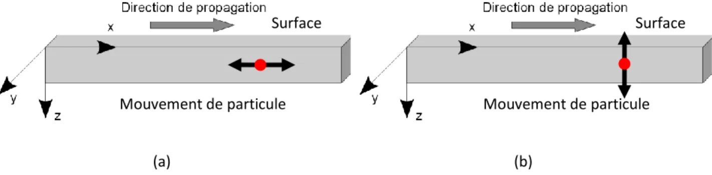 Figure  9 :  Ondes  planes  progressives  harmoniques  dans  les  milieux  infinis,  de  type  longitudinale  (a)  et  transversale (b)