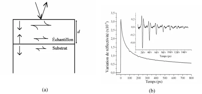 Figure 2-1 : (a) Principe de la détection optique en acoustique picoseconde pour un échantillon opaque :  les  ondes  acoustiques  font  des  aller-retour  dans  l’échantillon  et  sont  détectées  en  surface  par  la  sonde  (flèches au dessus de l’échan