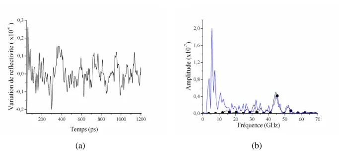 Figure 2-16 : Signal temporel (a) et la densité spectrale de puissance (b) d’une acquisition obtenue dans du  GaAs immergé sous du sérum biologique dans le porte échantillon biologique