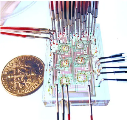 Figure 1.1 – Exemple d’un laboratoire sur puce produit dans le groupe de Quake [11].