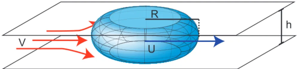 Figure 2.6 – Sch´ ema d’une bulle confin´ ee. La bulle s’´ ecoule ` a une vitesse U, pouss´ ee par le liquide ` a la vitesse moyenne V .