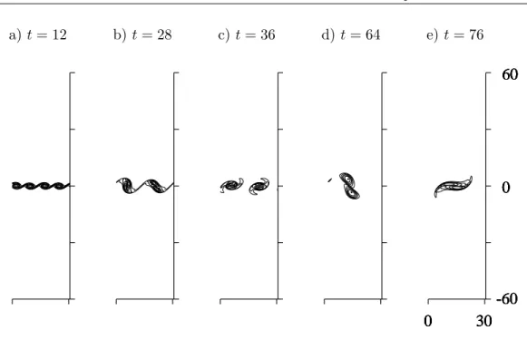 Fig. 4.2 – Champs de vorticit´e d’une couche m´elange isotherme `a M = 0, 2, Re = 400, (valeurs des iso-contours : min