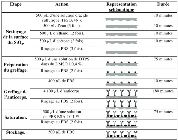 Figure 4. 11 : Protocole de greffage de l’anticorps anti M13 sur la surface de la ligne à retard.