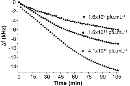 Figure 4. 19 : Réponse du capteur en fonction de la concentration de phages.