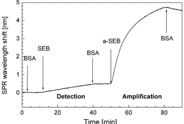 Figure 4. 21 : Détection d’entérotoxine B de staphylocoque (SEB) par une technique SPR (détection directe et amplification par anticorps secondaire) [HOM02].