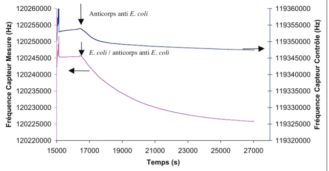 Figure 4. 23 : Réponses temps réel du capteur,