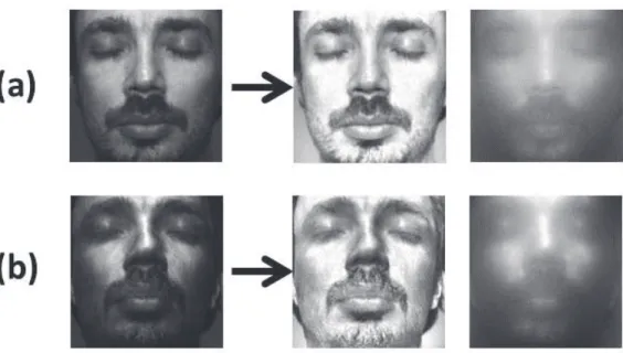 Figure 5.1: Example from the mask database which is created by [98] (a) The real face with texture, the reflectance image and the illumination image of the real face (b) Same images associated with the mask of the same person.