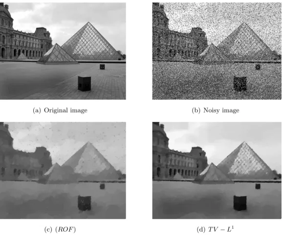 Figure 10: Image denoising in the case of impulse noise. (a) shows the clean image and (b) is a noisy version which has been corrupted by 25% salt and pepper noise.