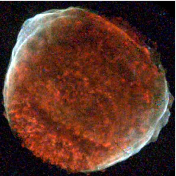 Fig. 1.— Three-color Chandra image of SN 1006: 0.5-0.8 keV ( red ), 0.8-2 keV ( green ) and 2- 2-4.5 keV ( blue )