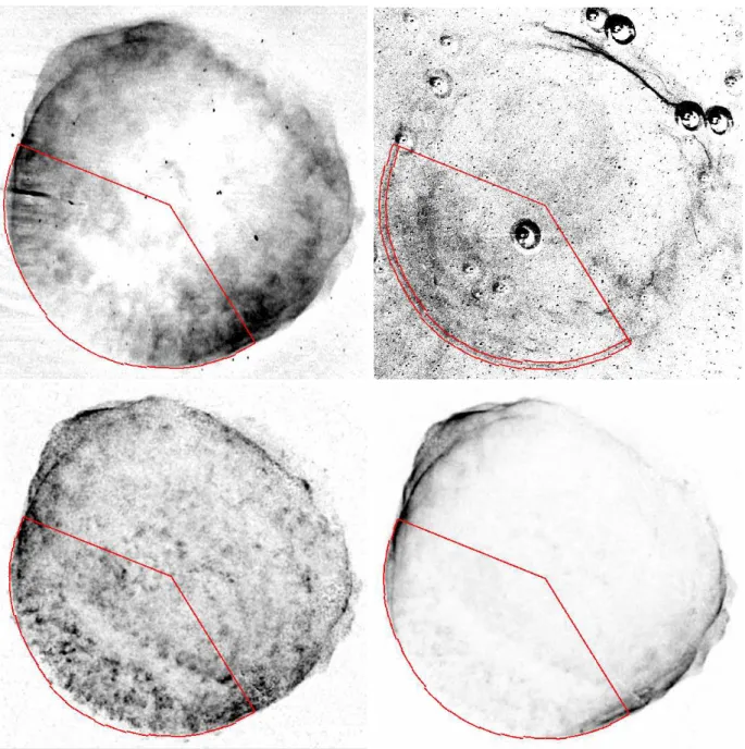 Fig. 4.— Images of SN 1006 in several energy bands. Top-left : Radio image at 1.5 GHz