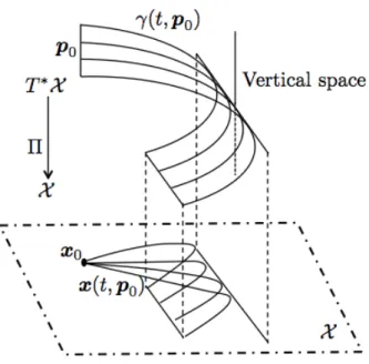 Figure 3.1 – A typical picture for a conjugate point (the fold singularity of the projection