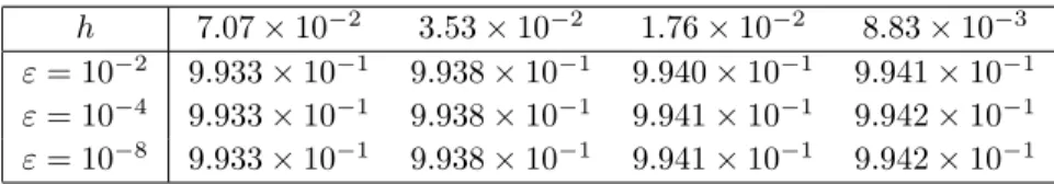 Table 1: δ ε,r,h w.r.t. ε and h ; r = 10 −2 ; Ω = (0, 1), ω = (0.2, 0.5), T = 1/2.