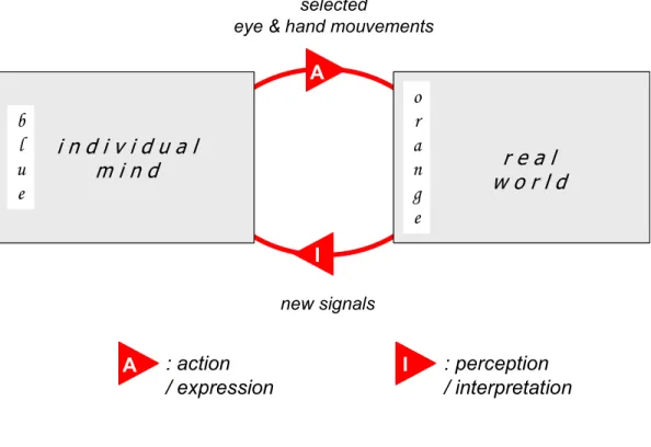 Figure 5: global mappings &amp; perceptual categorization 
