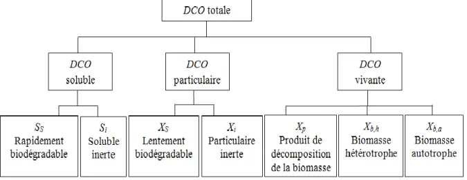 Figure 3. 2. Répartition de la DCO b) Dynamique du procédé 