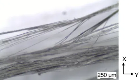 Figure 1-23 : Photo des fibres au niveau de la rupture d’une éprouvette de composite carbone/époxy bobiné courbe