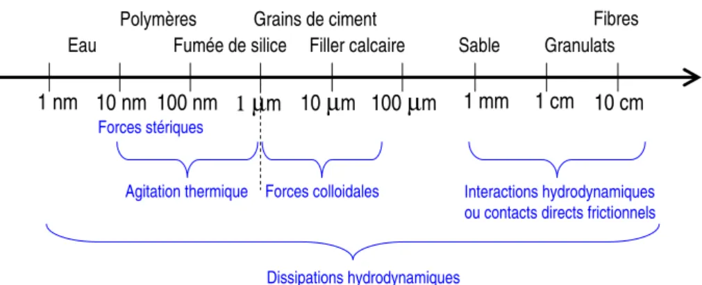 Figure 1.2 – Echelle de tailles des particules constituant les mat´ eriaux cimentaires.