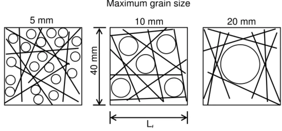 Figure 2.3 – Effet de la taille maximale des grains sur la distribution des fibres [105].