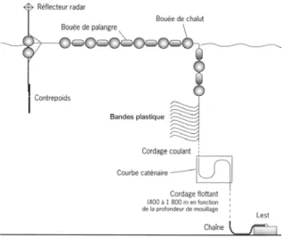 Figure 2-3 : Schéma d'un DCP mi-lourd selon le modèle &#34;océan Indien&#34; (d'après Tessier et al