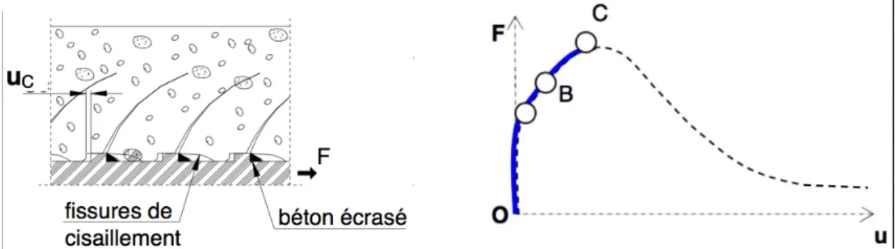 Figure 1.9: 2 eme ` phase du comportement de la liaison acier-béton selon Dominguez [2005]