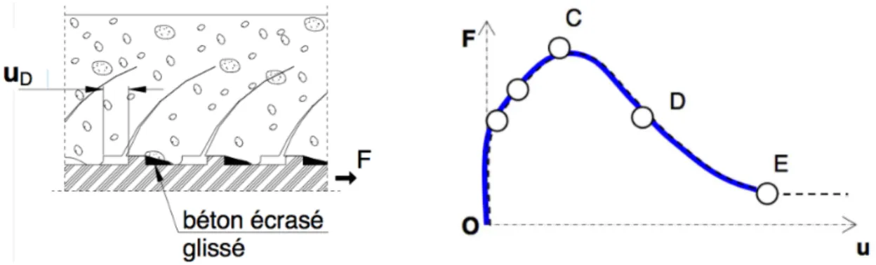 Figure 1.10: 3 ` eme phase du comportement de la liaison acier-béton selon Dominguez [2005]