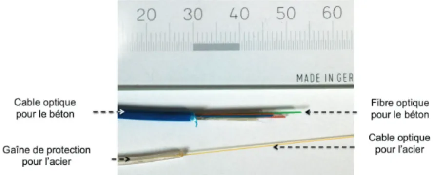 Figure 2.8: Deux types de câble optique (dimensions en mm)