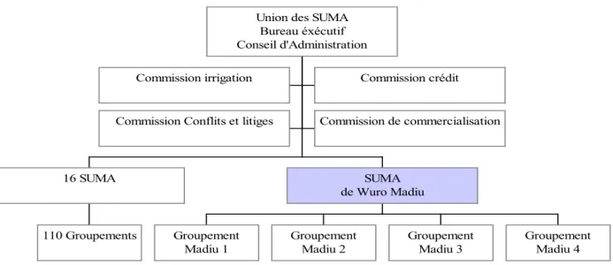Figure 21 : Organisation de l’Union des SUMA 
