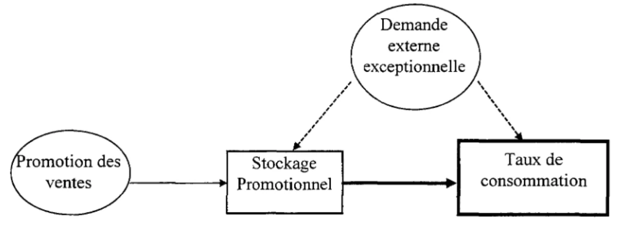 Figure 3.1 : Relations de causalité entre le stockage promotionnel et la consommation