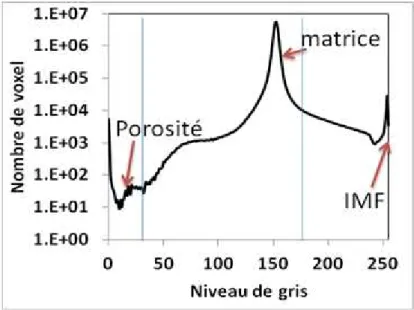 Figure 19 : Histogramme de niveaux de gris du volume obtenu par tomographie X. 