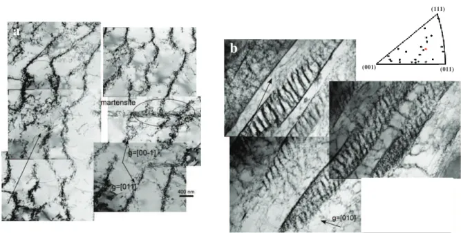 Fig IV-24. Exemple de structures de dislocations obtenues après la phase pré-écrouissage à PCT_1,5% : (a)  structures en veines et martensite ε, (b) bandes de glissement persistantes.
