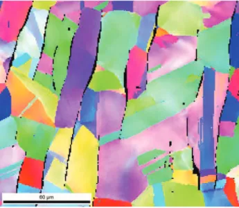 Fig II-2. Répartition de la ferrite dans la matrice austénitique de la nuance 304L-EDF